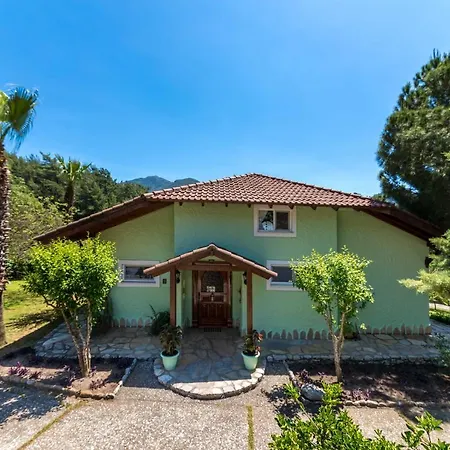 Villa Palm Tree Hisaronu Daily Weekly *