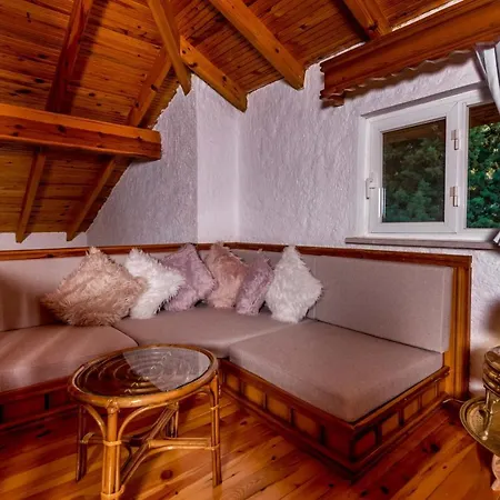Villa Palm Tree Hisaronu Daily Weekly *