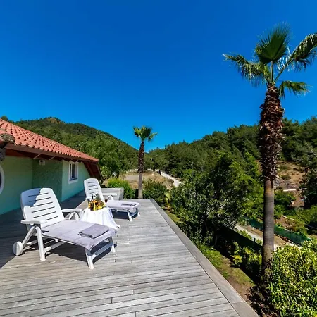 Palm Tree Hisaronu Daily Weekly Villa *