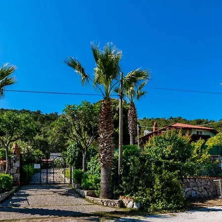 Palm Tree Hisaronu Daily Weekly Villa *