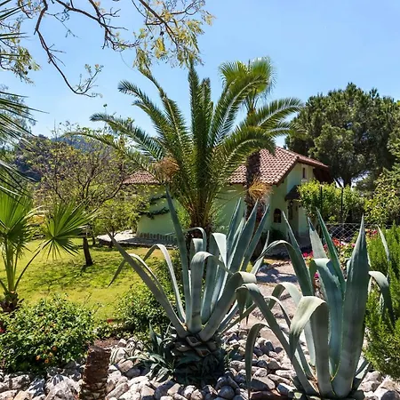 Villa Palm Tree Hisaronu Daily Weekly